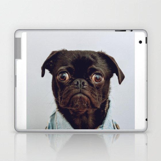 funny pug dog Laptop & iPad Skin