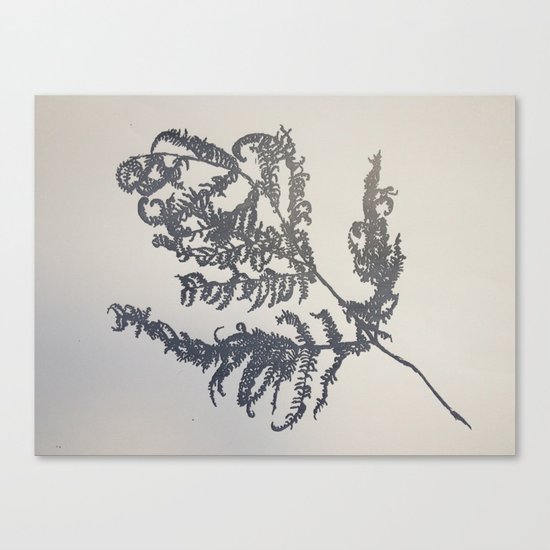 Ferns Canvas Print