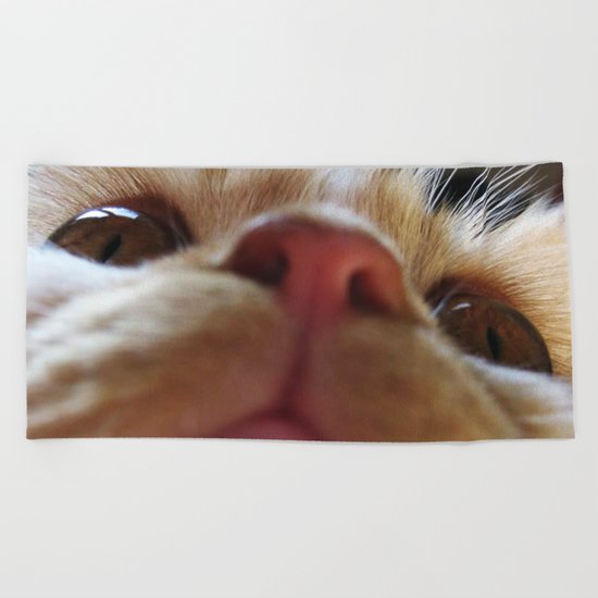 Funny Cute Cat Macro Eyes Beach Towel