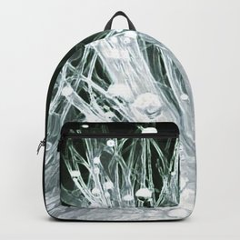 005 Backpack