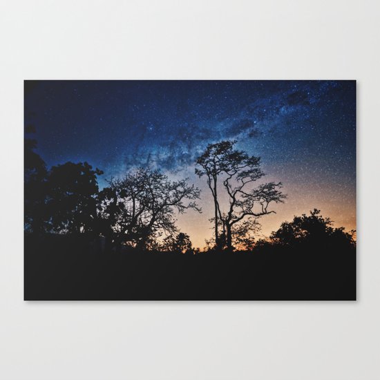 Galaxy Sky Canvas Print