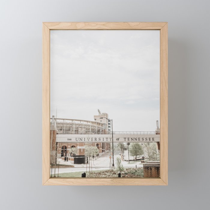 Framed Mini Art Print
