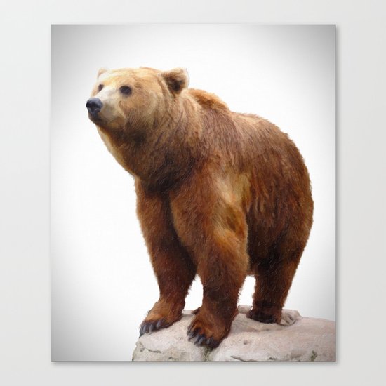 bear Canvas Print