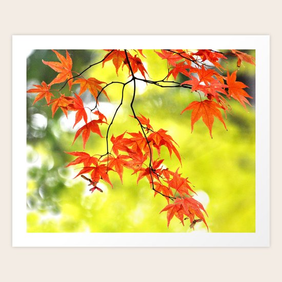 AUTUMN Art Print
