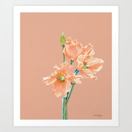 Peach Poppy - cantaloupe  Art Print