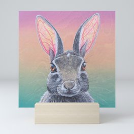 Inquisitive Rabbit Mini Art Print
