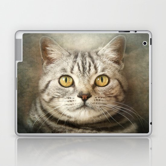 Tabby Cat Laptop & iPad Skin