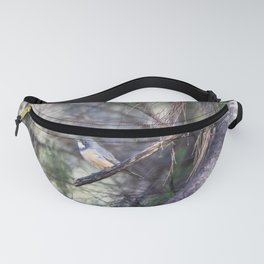 Birds - A Roufous Whistler Bird Perched On A Branch Fanny Pack