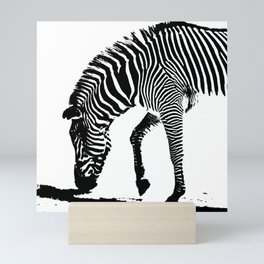 Zebra with Shadow Mini Art Print