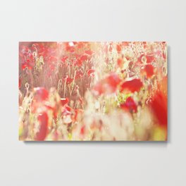 eclaircie Metal Print