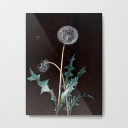 Dandelion by Barbara Regina Dietzsch from 1755 Metal Print | Flower, Floralpainting, Stilleben, Painting, Vintage, White, Green, Nature, Retro, Garden 
