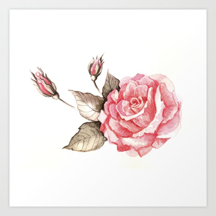Watercolor rose Art Print by Anna Yudina | Society6