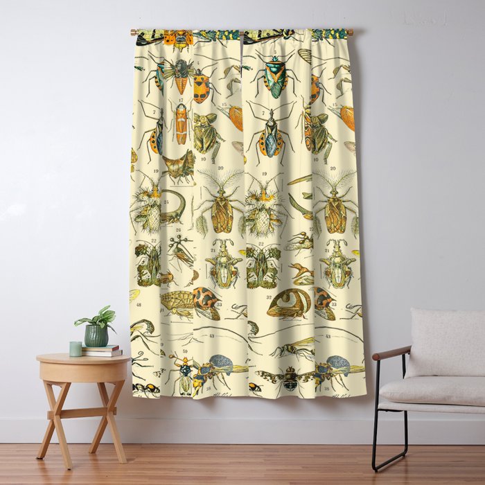 Blackout Curtain