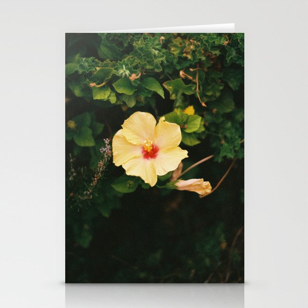 Hibiscus Stationery Cards