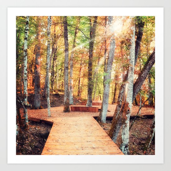 A Magical Spot in the Forest Art Print