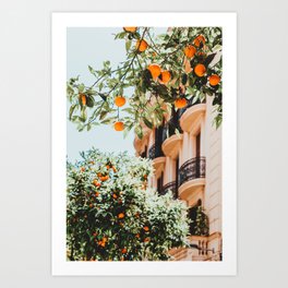 Orange Tree Fruits Print, Barcelona Spain Print, Orange Fruits Wall Art Print, Urban Photography, Tropical Summer Print Art Print