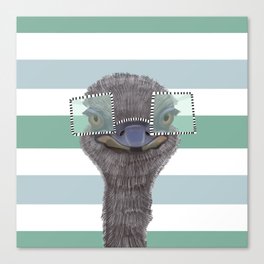 Funny Ostrich with Glasses on Stripe Pattern Canvas Print