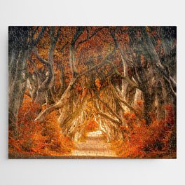 The Magic Forest Jigsaw Puzzle