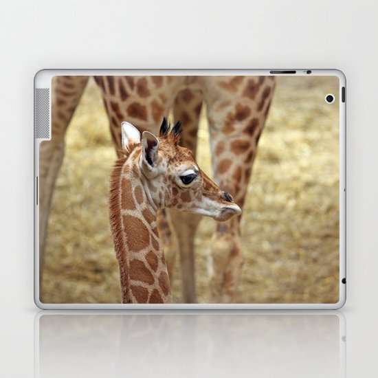 Giraffe Laptop & iPad Skin