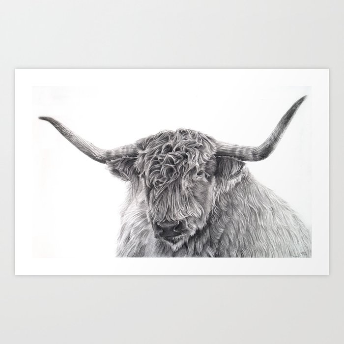 Hippie the Longhorn - Pencil Drawing Art Print