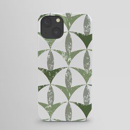 Old Arches Green iPhone Case