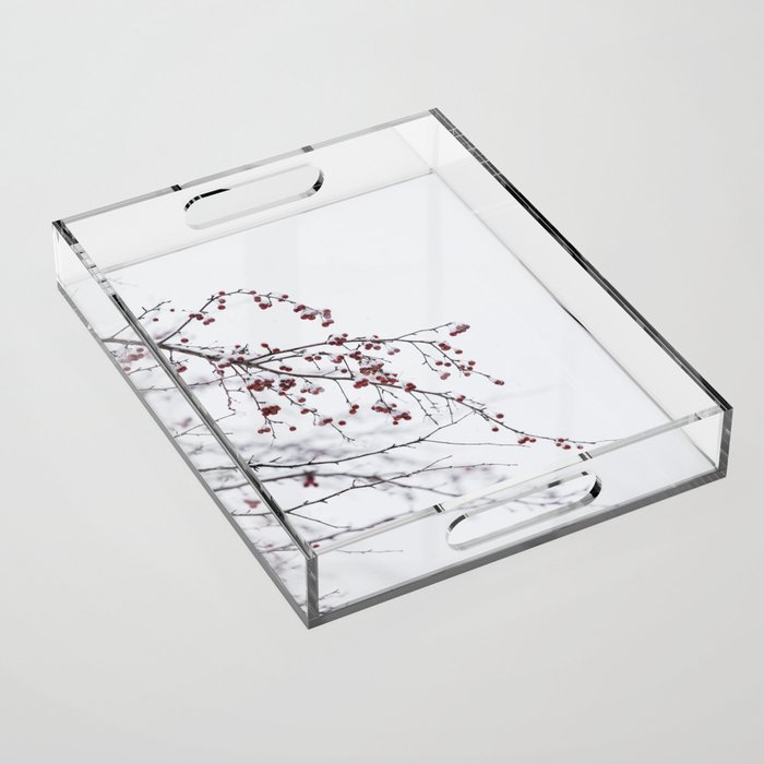 Winter Branches - Nature Photography Acrylic Tray