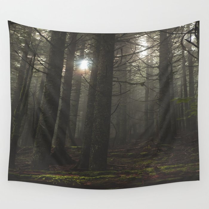 Woods tapestry 2025