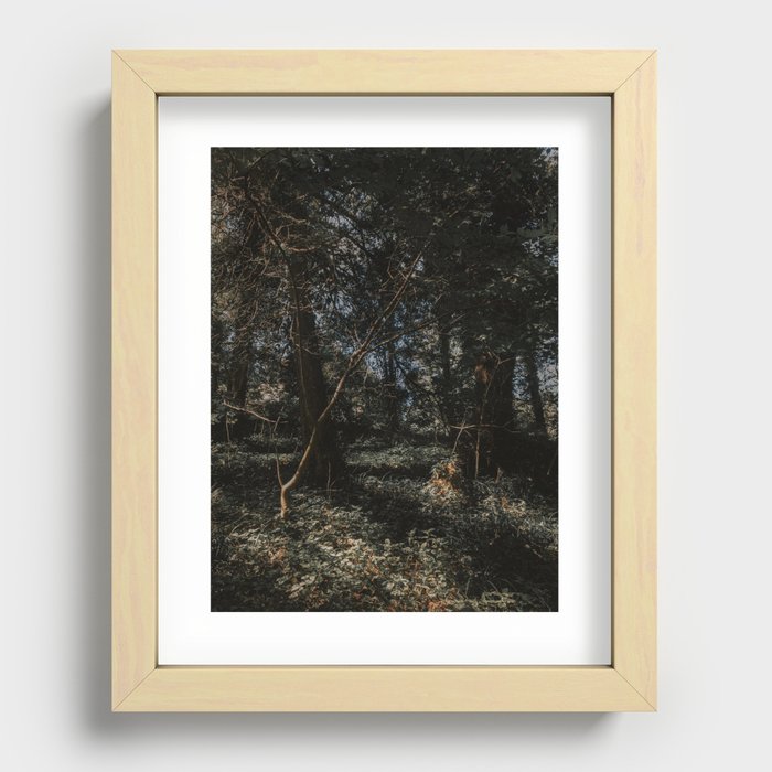 Dappled Light Recessed Framed Print