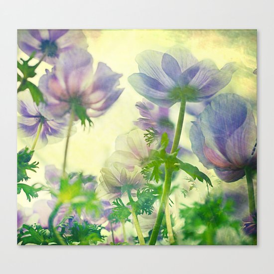 Hypnotic Canvas Print