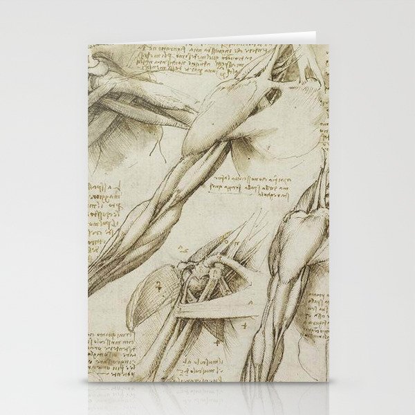 Leonardo Da Vinci human body sketches - arms Stationery Cards