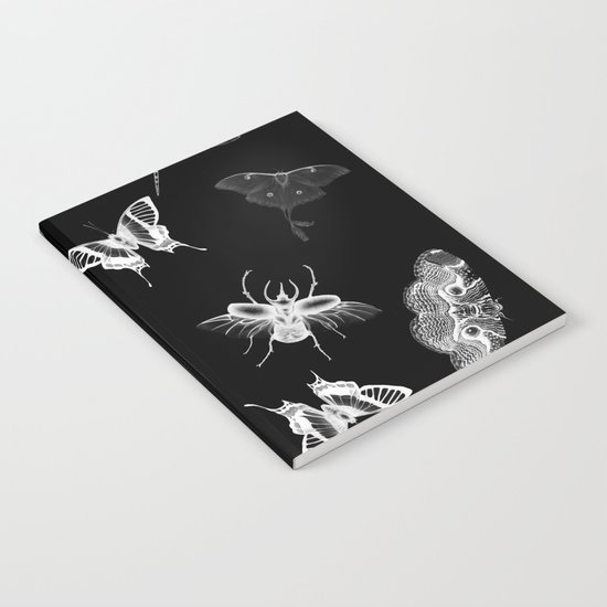 Entomologist Nightmares Notebook