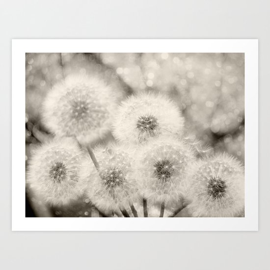 Believe in Magic Art Print