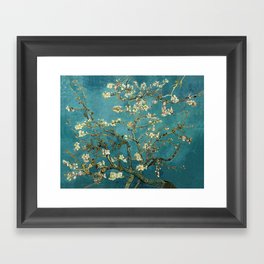 Van Gogh Blossoming Almond Tree Framed Art Print