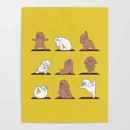 Poodle Yoga Poster
