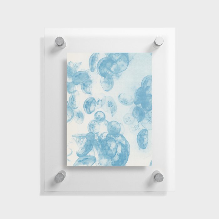 Sea Jellies 1 Floating Acrylic Print