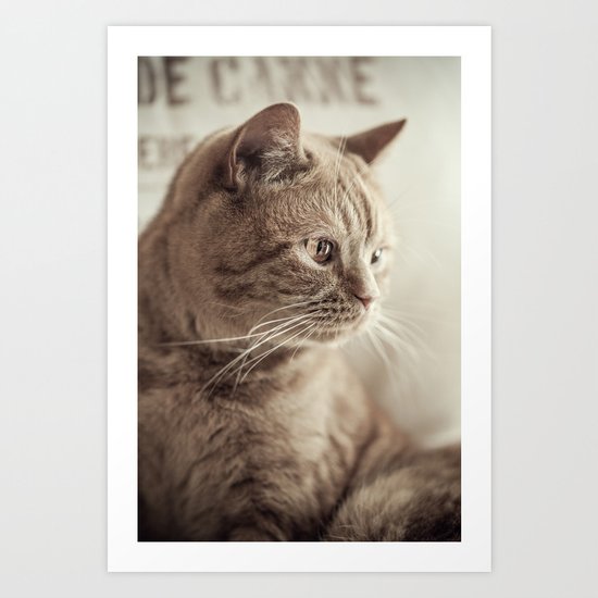 my cat Art Print