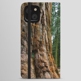 Sequoia Trees, McKinley Grove, California iPhone Wallet Case