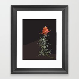 Indian Paintbrush In Bloom Framed Art Print