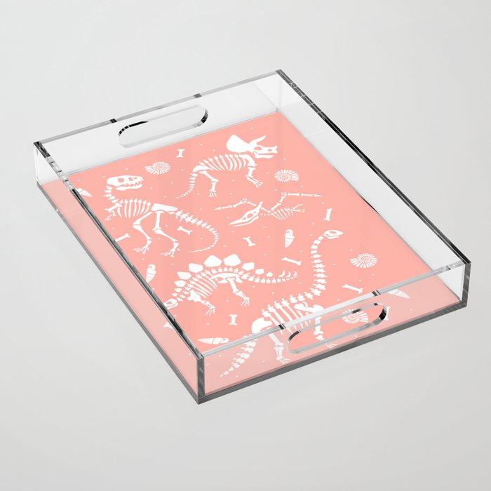 Dinosaur Fossils in Pink Acrylic Tray