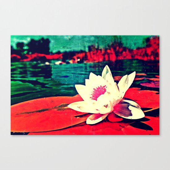 Vintage Water Lily Canvas Print