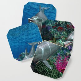Dolphins Coaster
