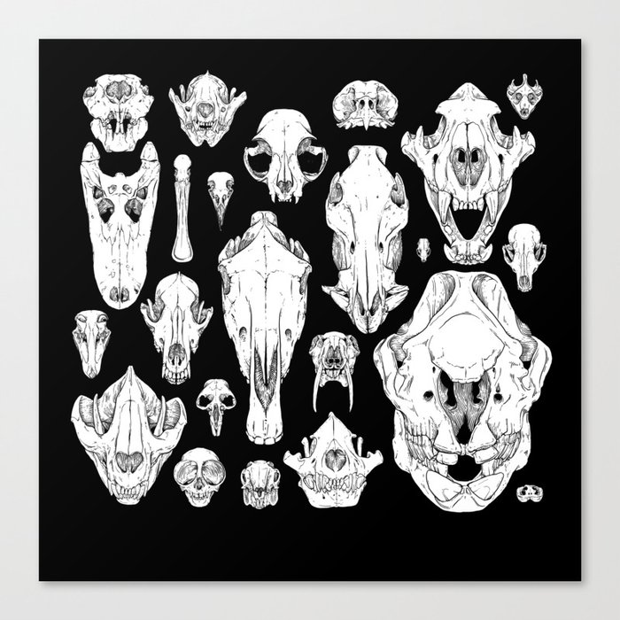 Skull Grid Canvas Print