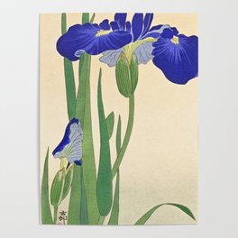 Blue Iris flower - Vintage Japanese Woodblock Print Poster