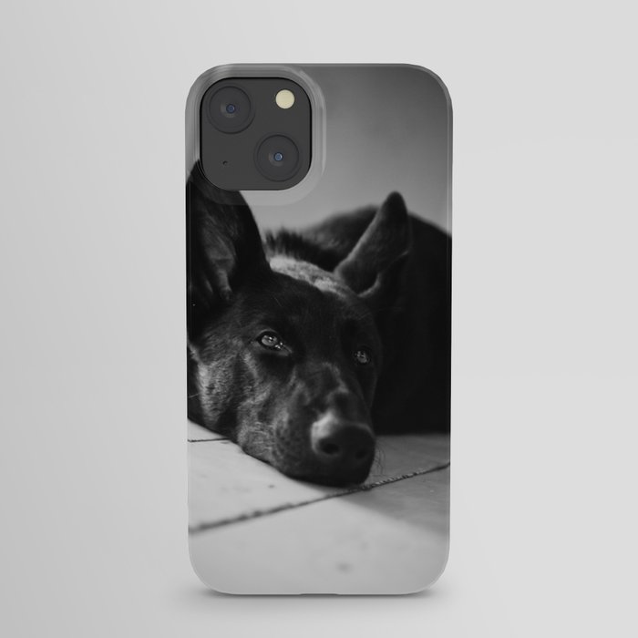 Dog German Shepherd  iPhone Case