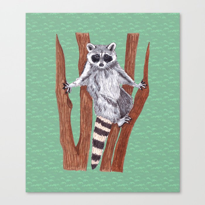 Yo ! Raccoon on the Tree Drawings Edition 1 Canvas Print