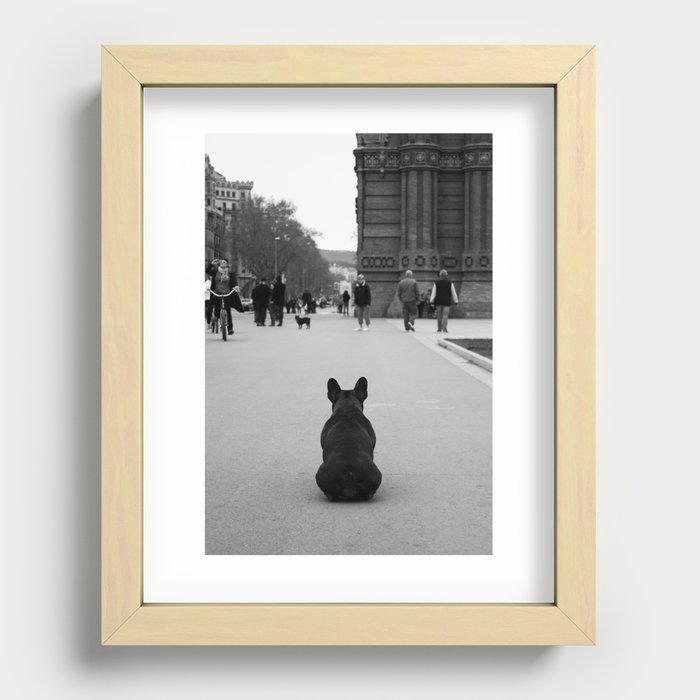 French Bulldog Recessed Framed Print