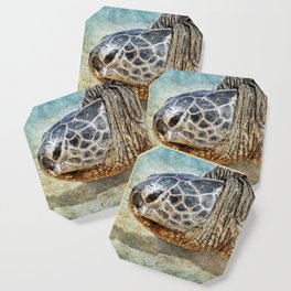 Green Sea Turtle Portrait Coaster