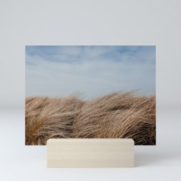 Beach life | Sand dunes | Nature | Landscape | Photography art print Mini Art Print