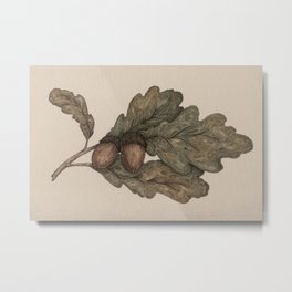 Acorns Metal Print | Digital, Curated, Vintage, Nature, Autumn, Acorn, Fall, Leaves, Oak, Leaf 