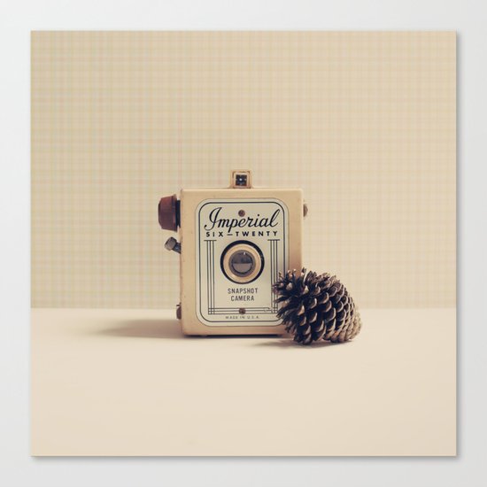 Retro Camera and Pine Cone Canvas Print